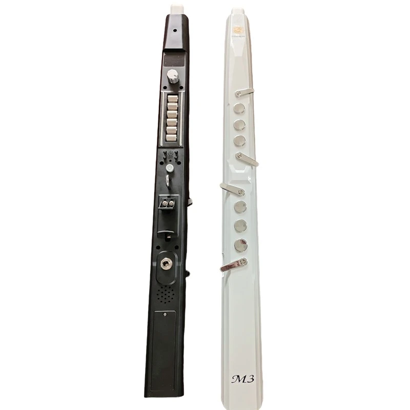 EWI electronic wind instrument