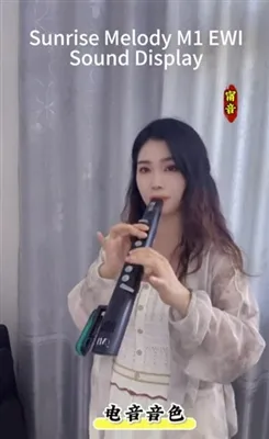 SUNRISE MELODY M1 Pantalla de sonido de instrumento de viento electrónico, so...